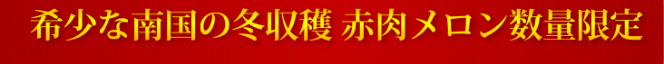 これより、2019年度分「宮古島産 高級赤肉 妃(きさき)メロン」予約受付開始します!「数量限定」先着93セット!なくなり次第終了です!